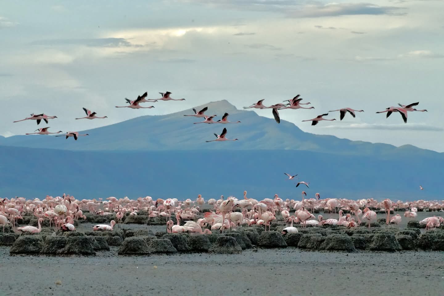 Lake Natron Tanzania